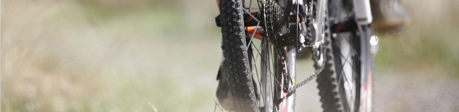online mountainbikes